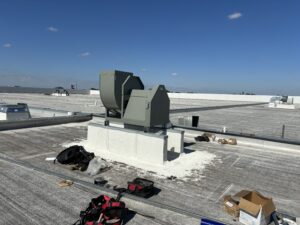 IMG_0010